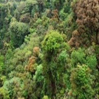 Nandan Van Biranasinghpur